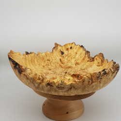 Horse Chestnut Burr bowl